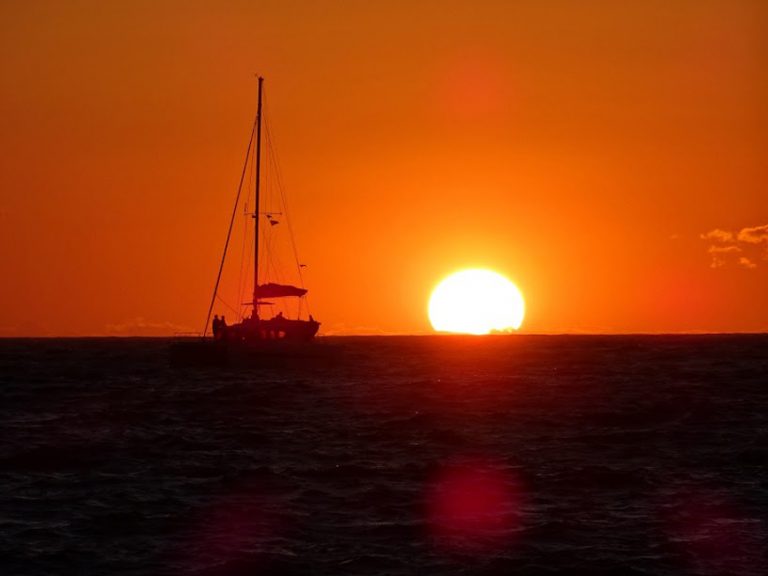 Signature Trips & Experiences | OTHER TOURS